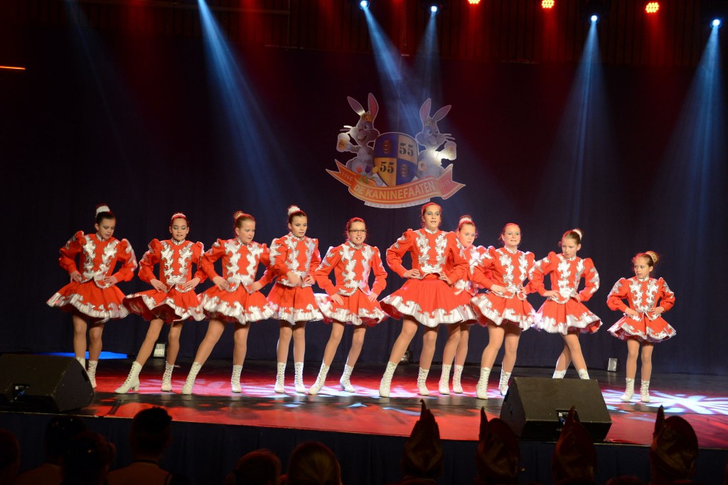../Images/Dansmarieke festival 2015 074.jpg